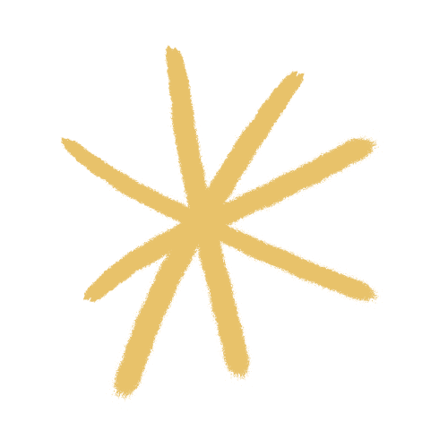 yellow asterisk icon