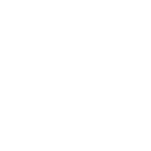 White asterisk icon