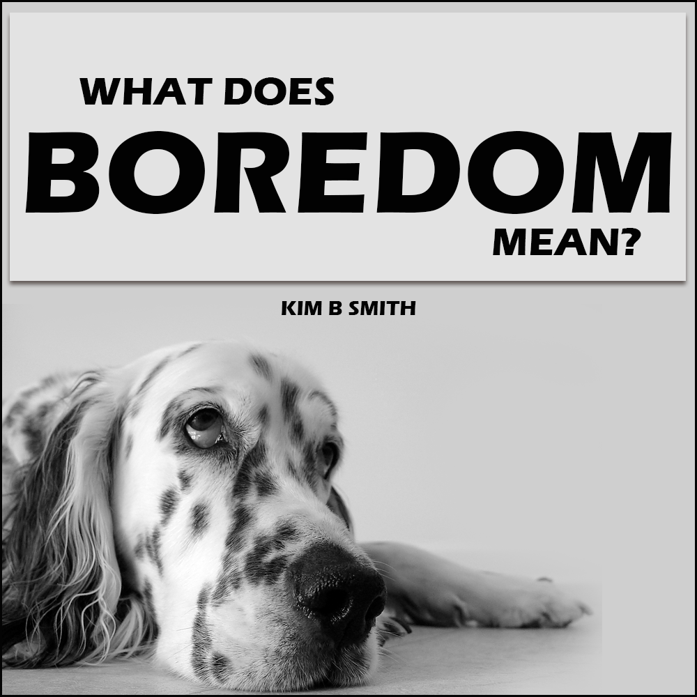 What Does The Word Boredom Mean To You